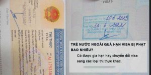Dich Vu Visa Binh Duong Avbc 3